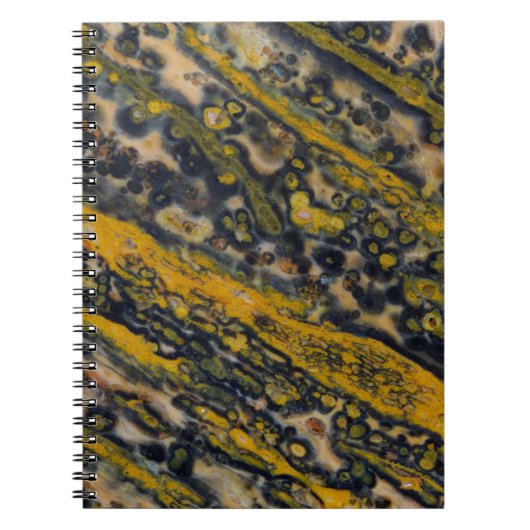 Carnet Jasper Océan (Devant)