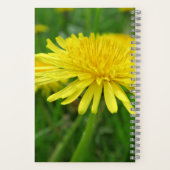 Carnet jaune, bouton d'or, plante, pissenlit, prairie, (Verso)