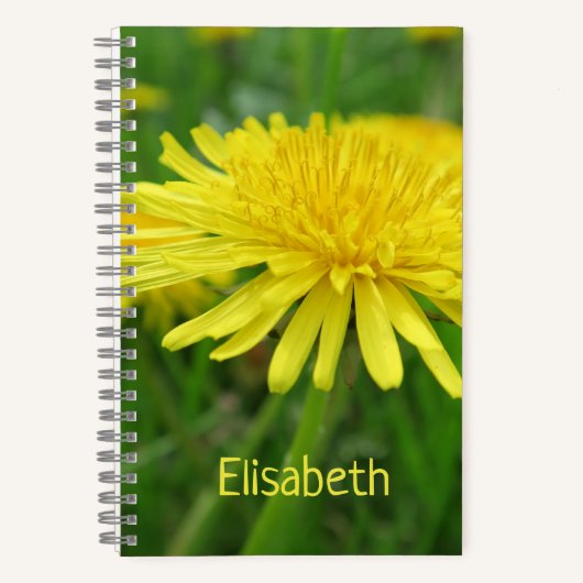 Carnet jaune, bouton d'or, plante, pissenlit, prairie, (Recto)