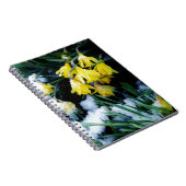 Carnet Jaune Daffodils fleurs dans la neige (Côté Droit)
