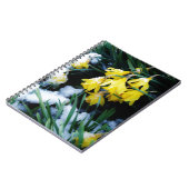 Carnet Jaune Daffodils fleurs dans la neige (Côté gauche)