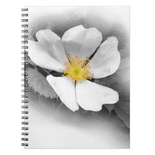 Carnet jaune dans les tons gris (Devant)