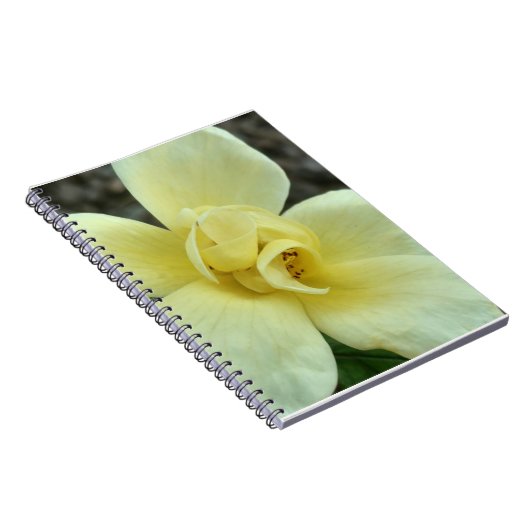 Carnet jaune de fleur (Côté Droit)