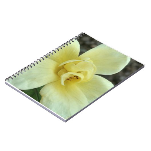 Carnet jaune de fleur (Côté gauche)