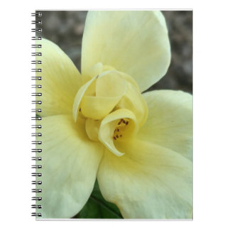 Carnet jaune de fleur