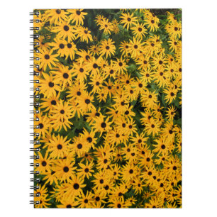 Carnet Jaune de marguerites