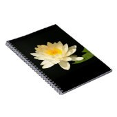 Carnet jaune de nénuphar (Côté Droit)