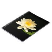 Carnet jaune de nénuphar (Côté gauche)