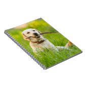 Carnet Jaune Labrador Joue Récupérer Avec Bâton (Côté Droit)