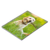 Carnet Jaune Labrador Joue Récupérer Avec Bâton (Côté gauche)