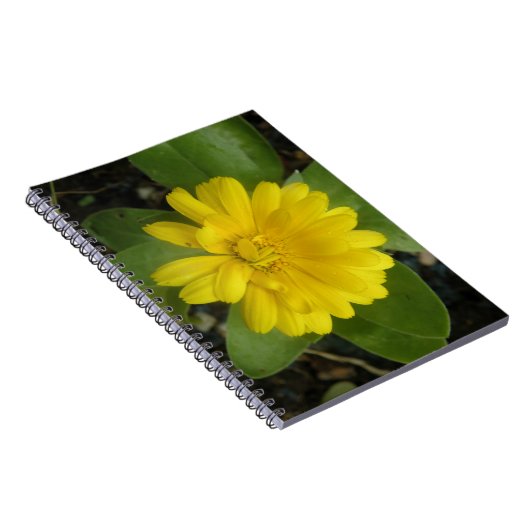 Carnet jaune vif Marigold (Côté Droit)