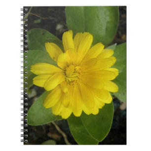 Carnet jaune vif Marigold
