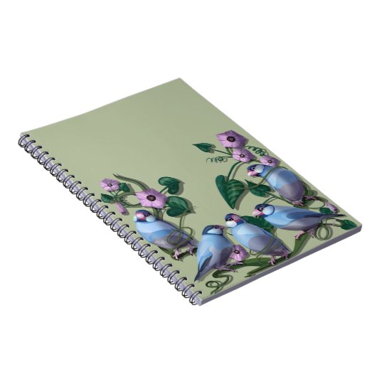 Carnet Java sparrows  (Côté Droit)