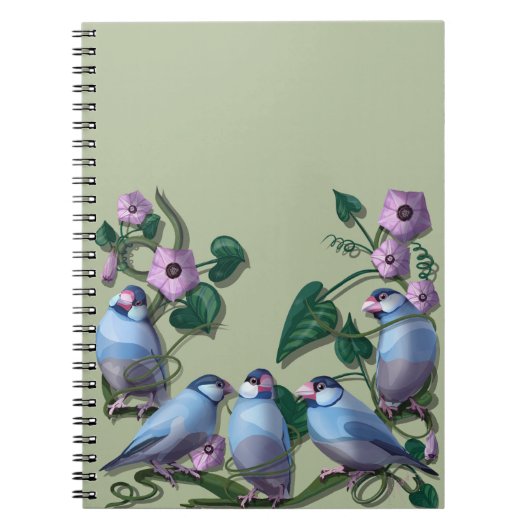 Carnet Java sparrows  (Devant)