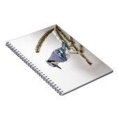Carnet Jay bleu en hiver (Côté Droit)