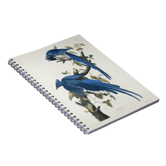 Carnet Jay noir à pâte molle à tarte noire Audubon Columb (Côté Droit)