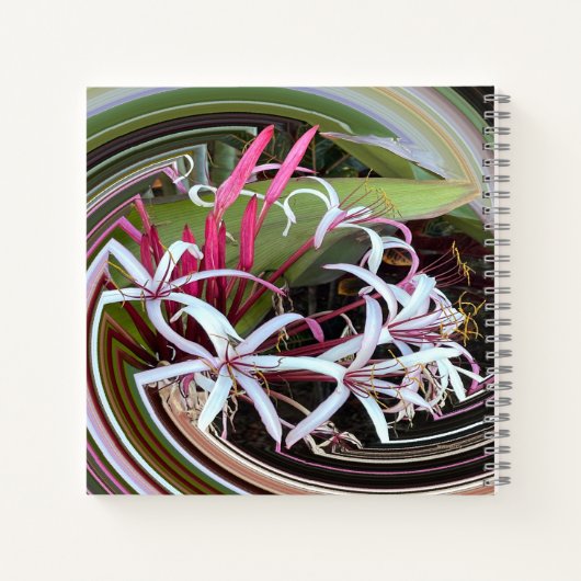 Carnet Je regarde..... (Dos)