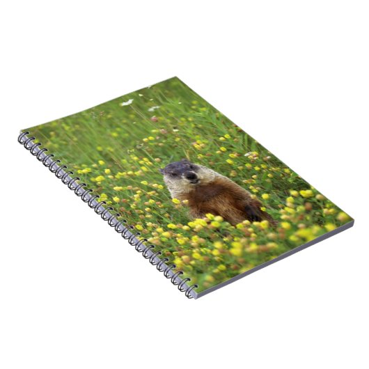 Carnet Je suis Groundhog (Côté Droit)