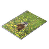 Carnet Je suis Groundhog (Côté gauche)