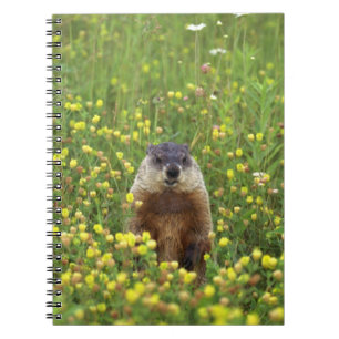 Carnet Je suis Groundhog