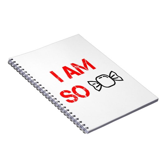 Carnet Je suis si gentil (Côté Droit)