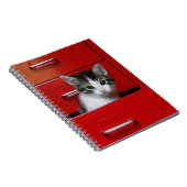 Carnet Jeter un coup d'oeil de chaton (Côté Droit)