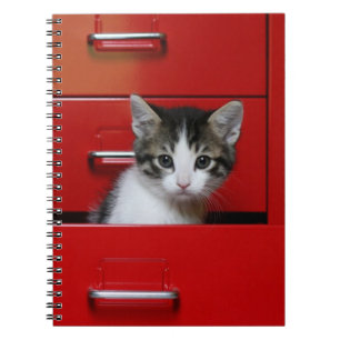 Carnet Jeter un coup d'oeil de chaton