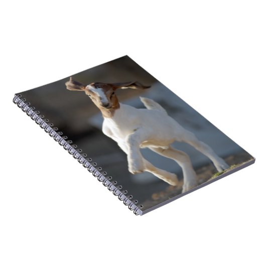 Carnet Jeu de chèvre d'enfant (Côté Droit)