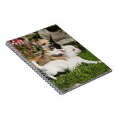 Carnet Jeu de chiot de chiwawa (Côté Droit)