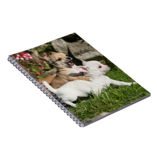 Carnet Jeu de chiot de chiwawa (Côté Droit)