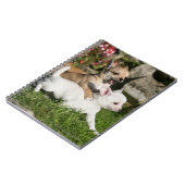 Carnet Jeu de chiot de chiwawa (Côté gauche)