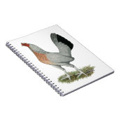 Carnet Jeu de Duckwing Argent Hen (Côté Droit)