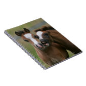 Carnet Jeu de poulains (Côté Droit)