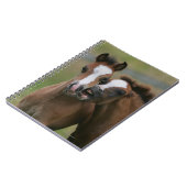 Carnet Jeu de poulains (Côté gauche)