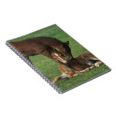 Carnet Jeu de poulains de Morgan (Côté Droit)