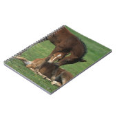 Carnet Jeu de poulains de Morgan (Côté gauche)