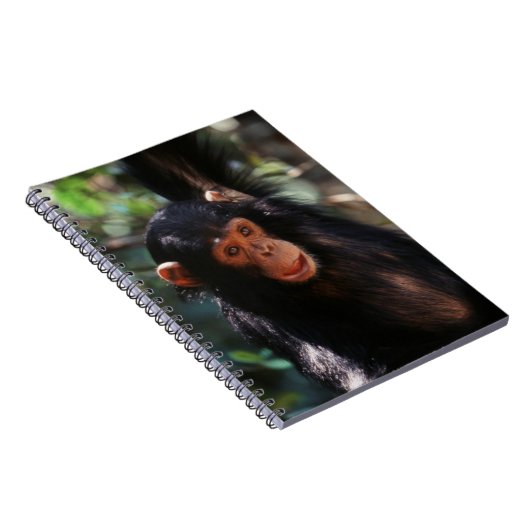 Carnet Jeune Chimpanzé (Côté Droit)