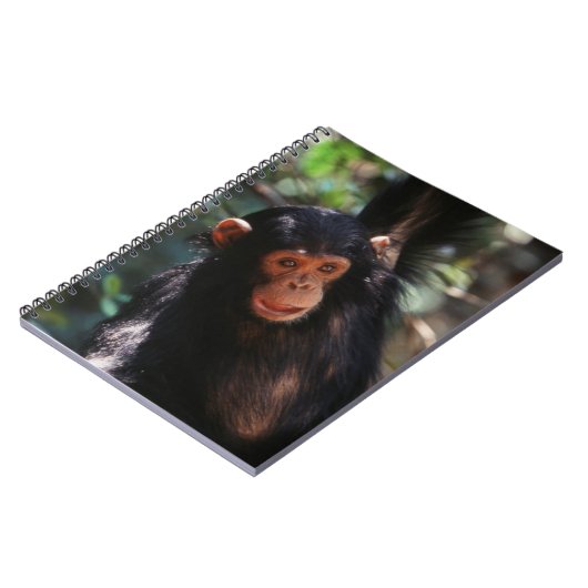Carnet Jeune Chimpanzé (Côté gauche)