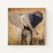 Carnet Jeune éléphant de brousse (Dos)
