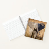 Carnet Jeune éléphant de brousse (Intérieur)