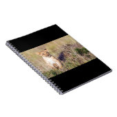 Carnet Jeune lion (Côté Droit)