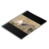 Carnet Jeune lion (Côté gauche)