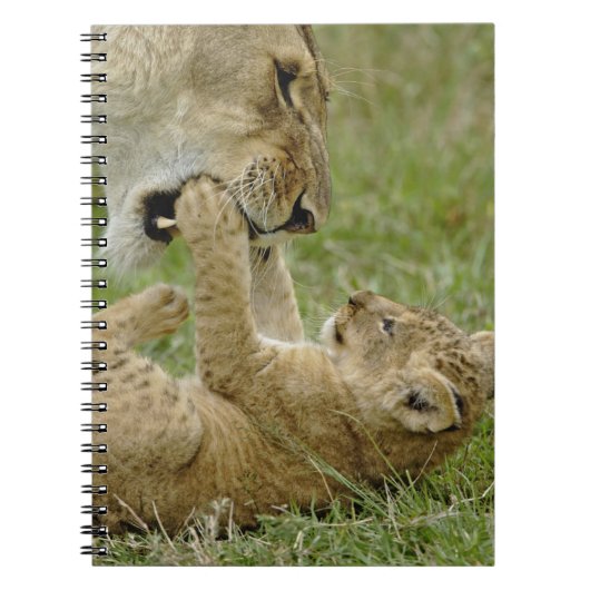 Carnet Jeune lion jouant (Devant)
