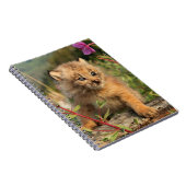 Carnet Jeune Lynx du Canada, Alaska (Côté Droit)