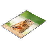 Carnet Jeune marmotte (Côté gauche)