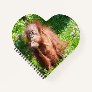Carnet Jeune Orangutan profondément dans la pensée