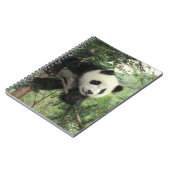 Carnet Jeune panda géant grimpe à un arbre, vallée de Wol (Côté gauche)