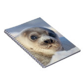 Carnet Jeune phoque de harpé (Côté Droit)