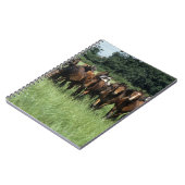 Carnet Jeunes de pur sang (Côté gauche)