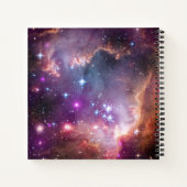 Carnet Jeunes Étoiles Dans Le Petit Nuage Magellanique. (Dos)